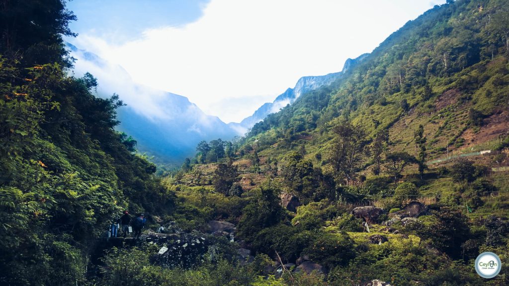 Kodi Ara Kanda, Mandaram Nuwara