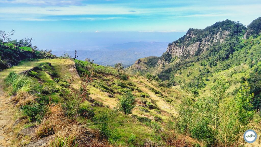 Scenic Devil's Staircase Hike
