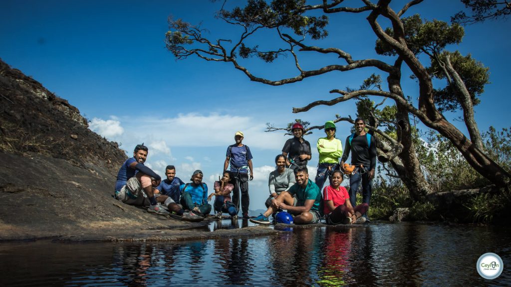 Gerandi Ella, Knuckles